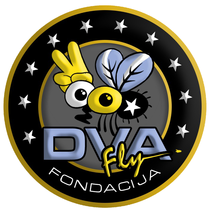 Fly DVA 헬리콥터 비행 학교 로고